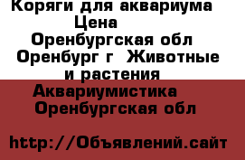 Коряги для аквариума  › Цена ­ 250 - Оренбургская обл., Оренбург г. Животные и растения » Аквариумистика   . Оренбургская обл.